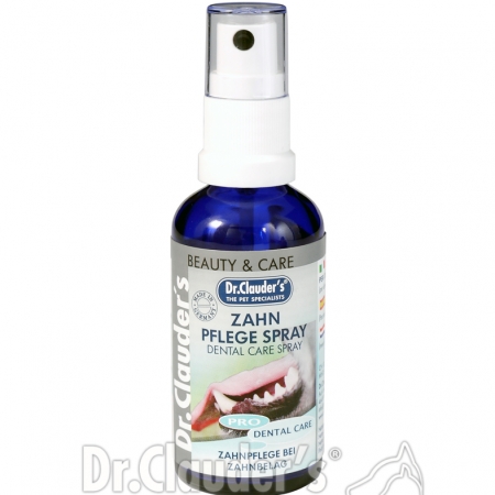 DC Beauty&Care Zahn Pflegespray