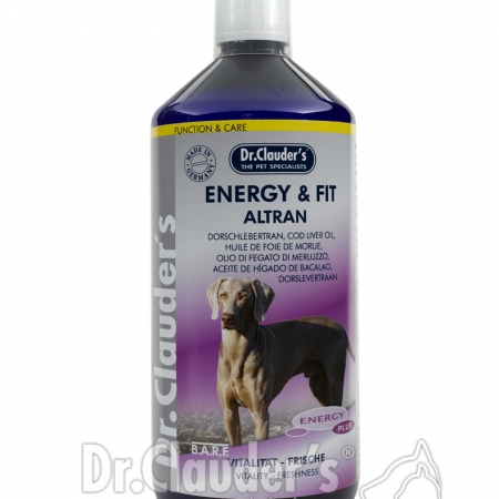 DC-Energy-plus-EnergyFit-Altran