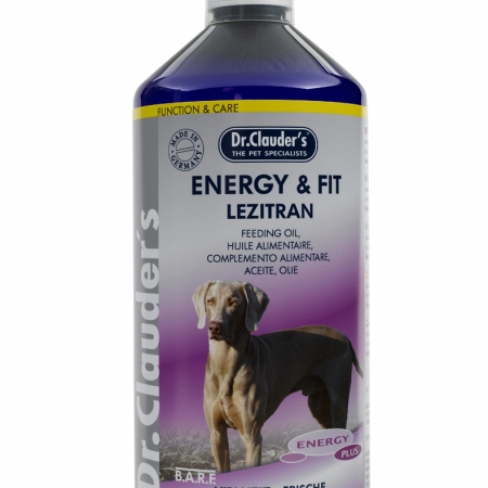 DC-Energy-plus-EnergyFit-Lezitran